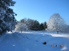 woodmont_afterwinterstorm